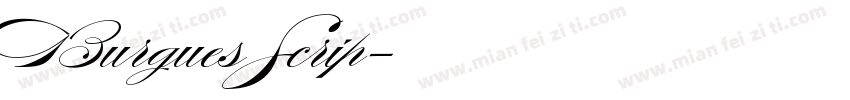 Burgues Scrip字体转换